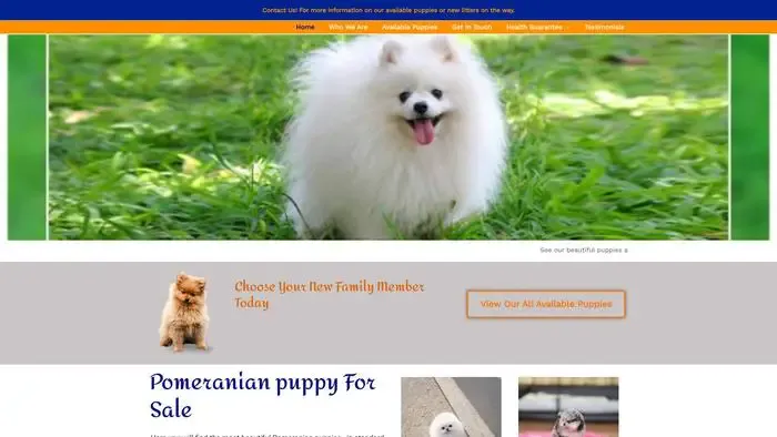 Screenshot of