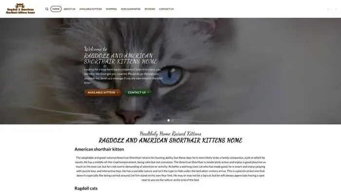 Screenshot of