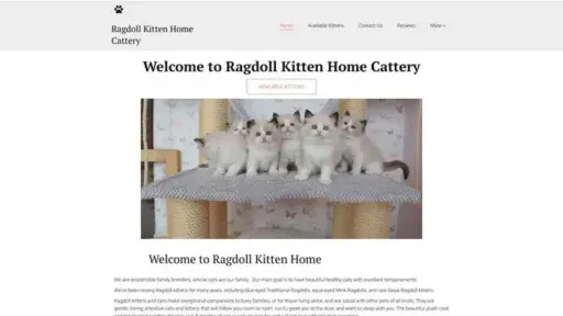 Screenshot of