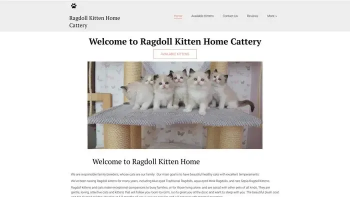 Screenshot of