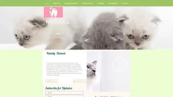 Ragdollkittenshome