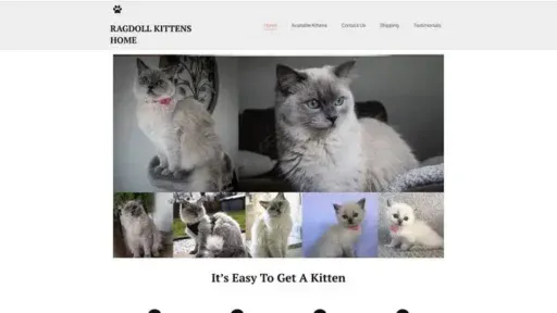 Screenshot of