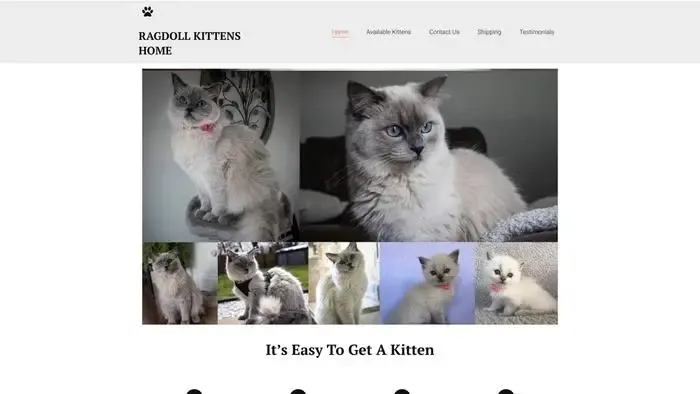 Screenshot of