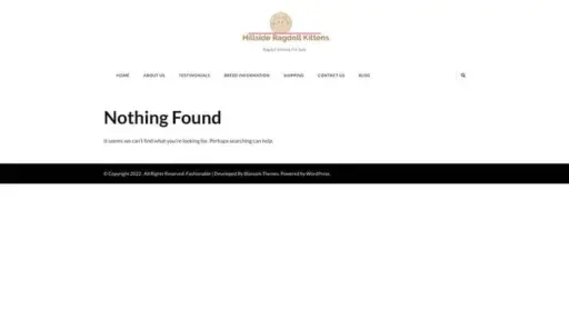 Screenshot of