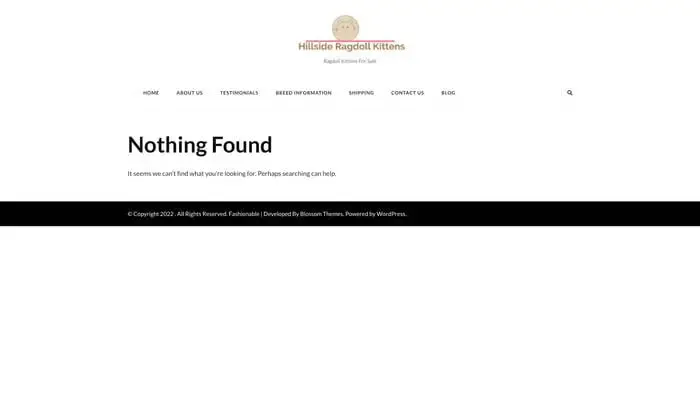 Screenshot of