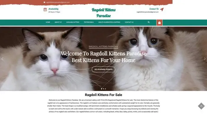 Screenshot of