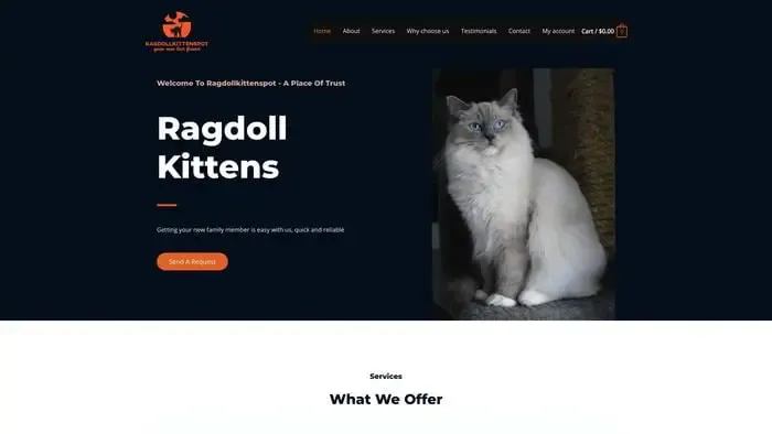 Screenshot of