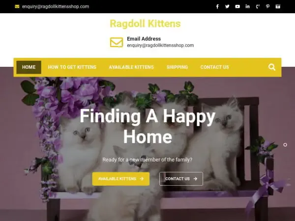 Screenshot of
