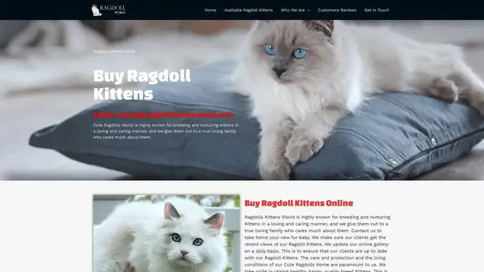 Screenshot of