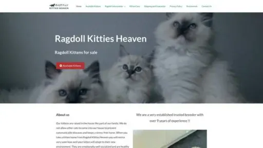 Screenshot of