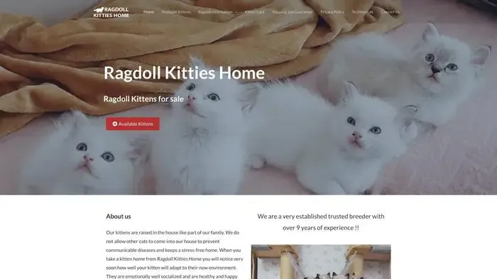 Screenshot of