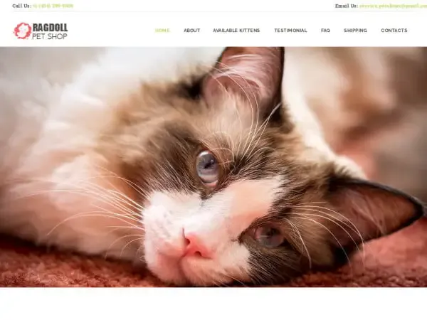 Screenshot of