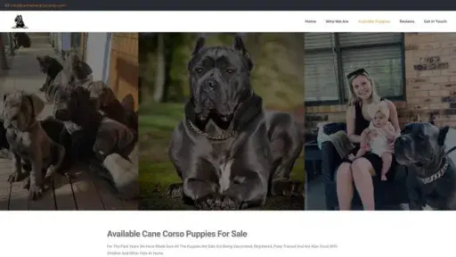 Screenshot of