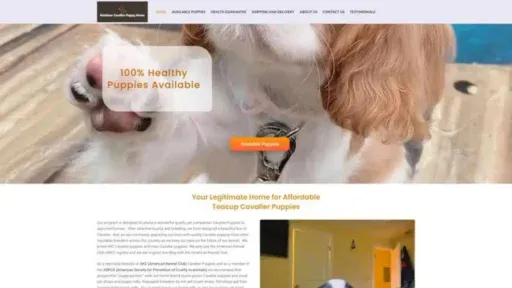 Screenshot of||
