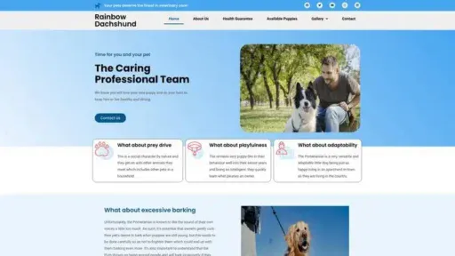 Screenshot of