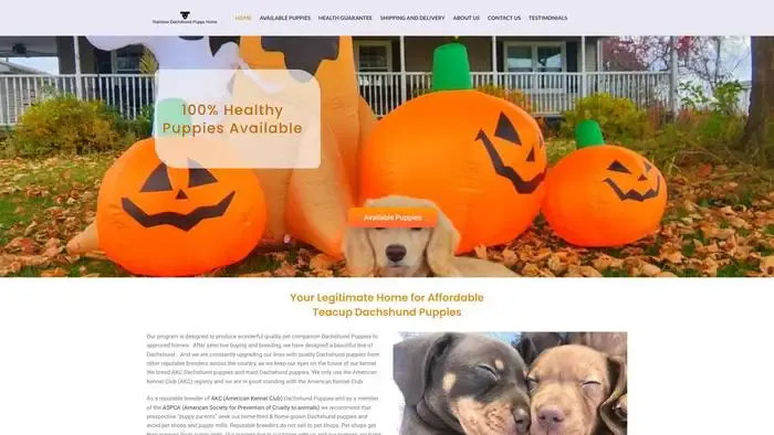 Screenshot of