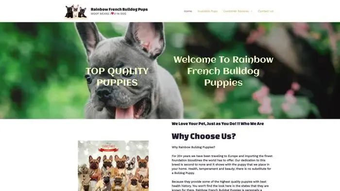Screenshot of