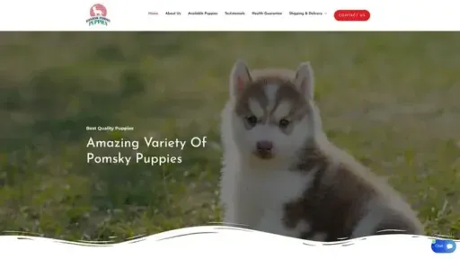 Screenshot of