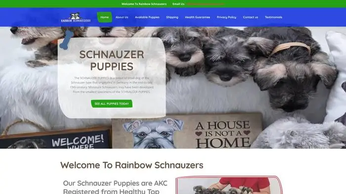 Screenshot of