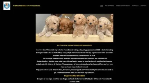 Screenshot of