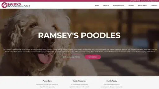 Screenshot of