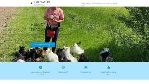 Screenshot of