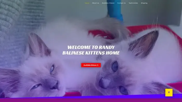 Screenshot of