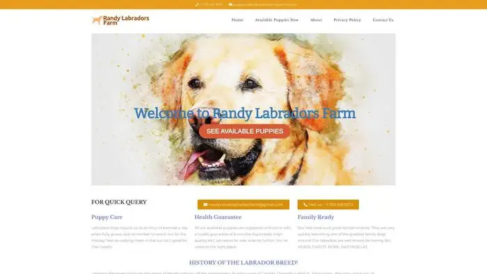 Screenshot of