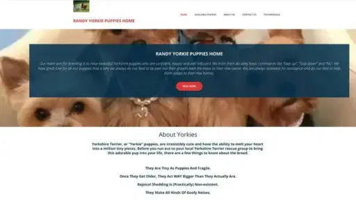 Screenshot of