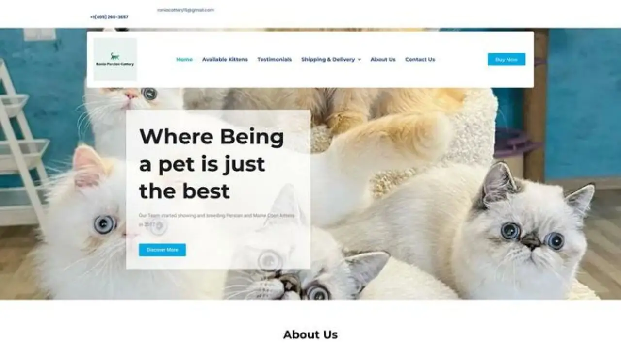 Screenshot of||