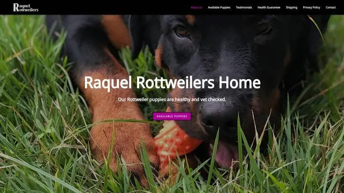 Screenshot of