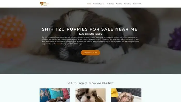 Screenshot of