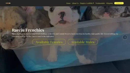 Screenshot of