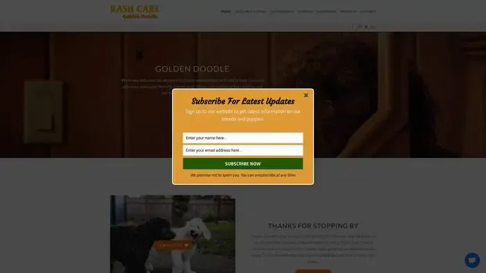 Screenshot of