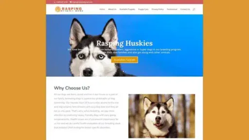 Screenshot of