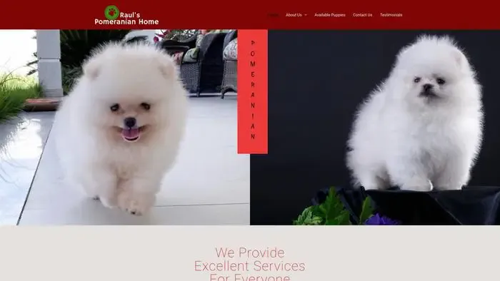 Screenshot of