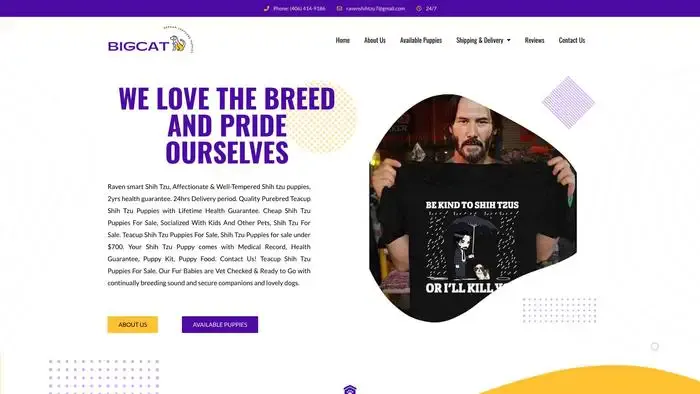 Screenshot of