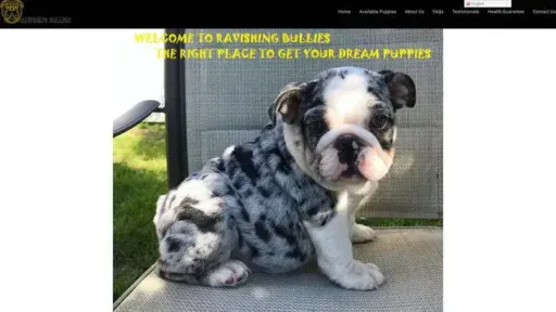 Screenshot of