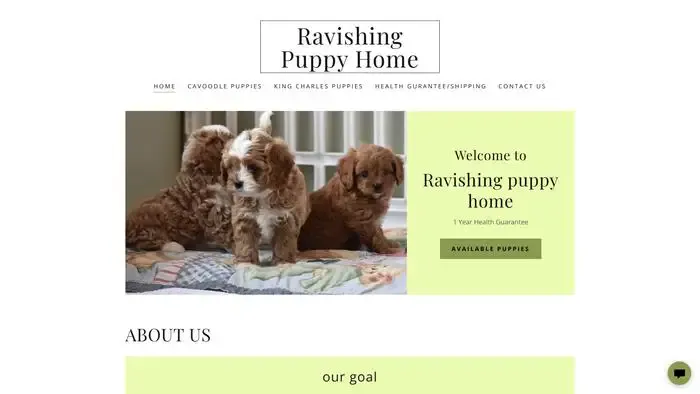 Screenshot of