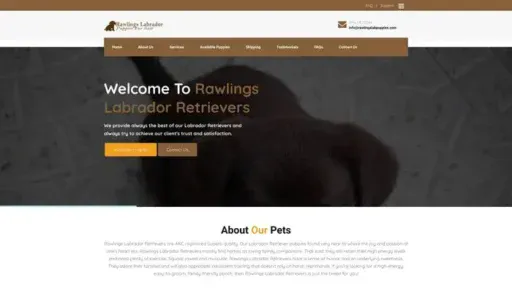 Screenshot of