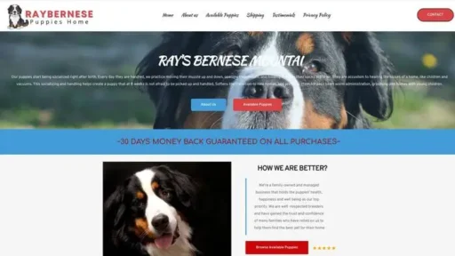 Screenshot of