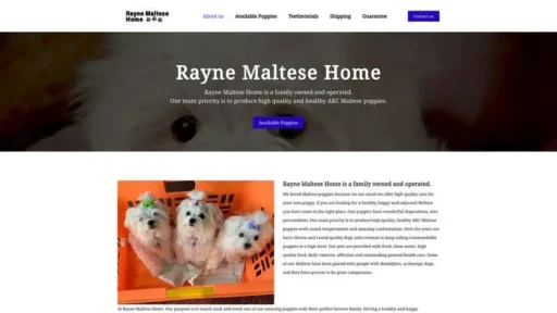 Screenshot of