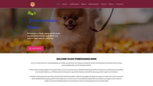 Screenshot of