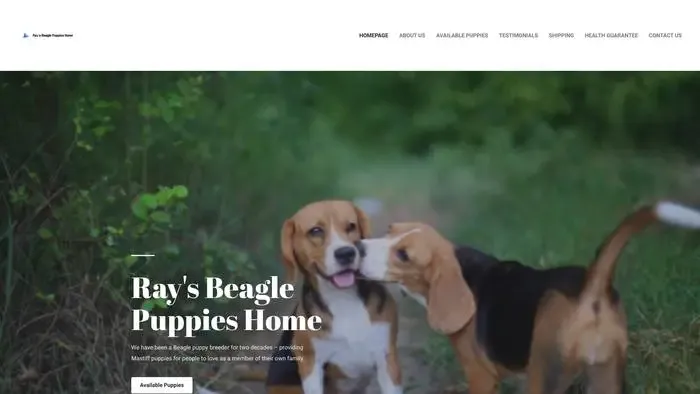 Screenshot of