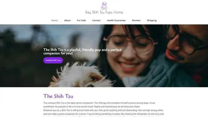 Screenshot of