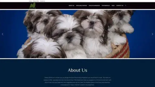 Screenshot of
