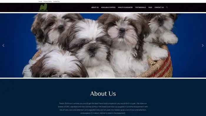 Screenshot of