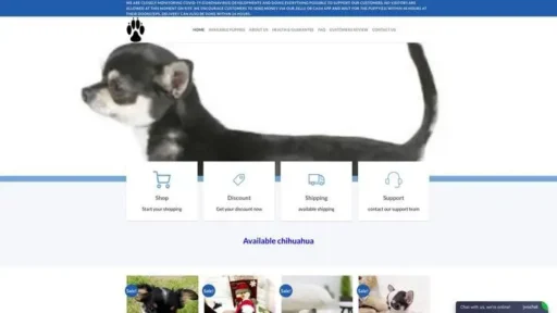 Screenshot of