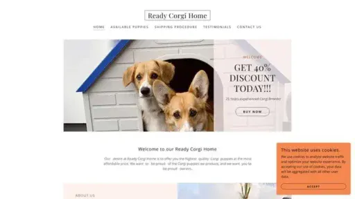 Screenshot of