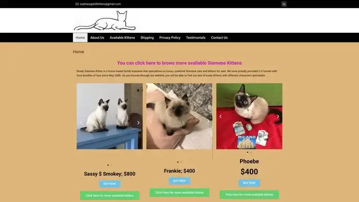 Screenshot of